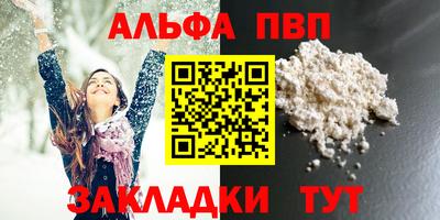 стаф Новокубанск
