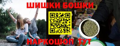 стаф Новокубанск