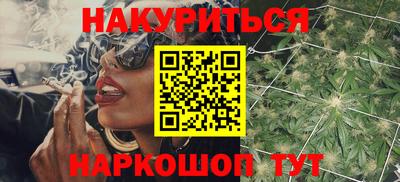 стаф Новокубанск